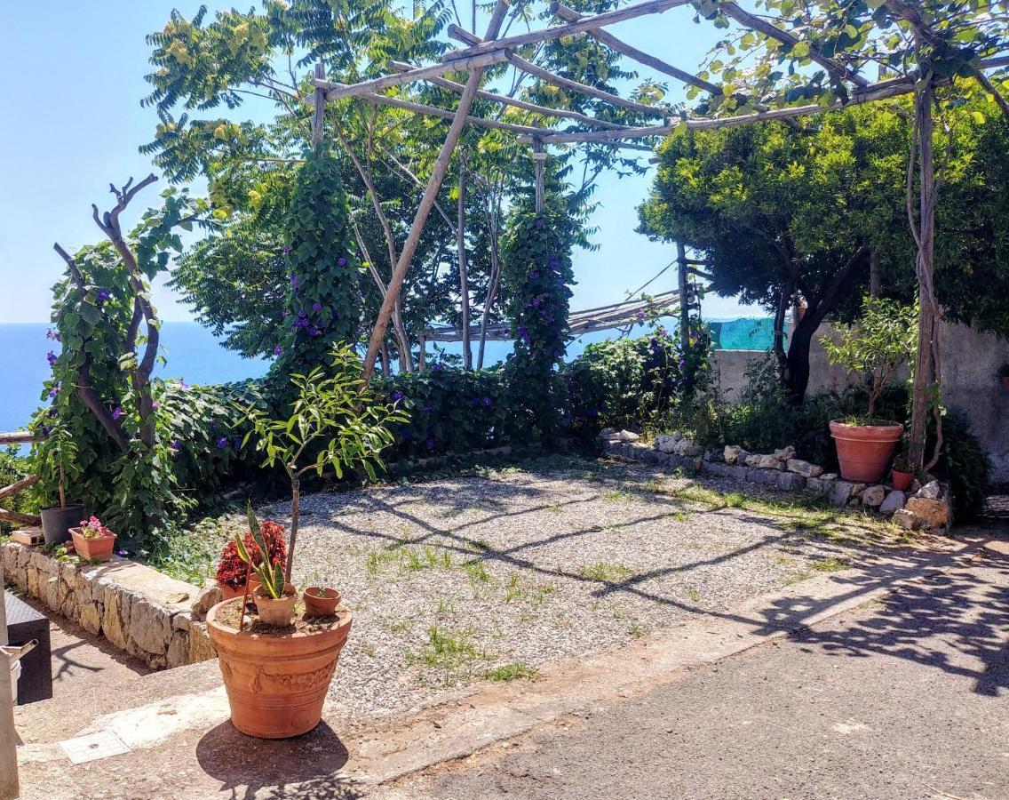 Il Limoneto Apartment Furore Ngoại thất bức ảnh